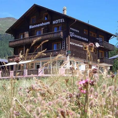 Wannenhorn فندق 3*